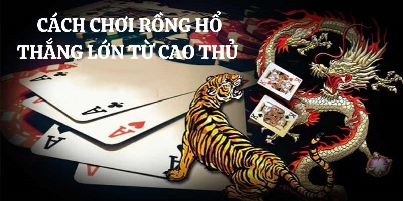 Cách Chơi Rồng Hổ Luôn Thắng Kinh Nghiệm Bất Bại Từ Cao Thủ 